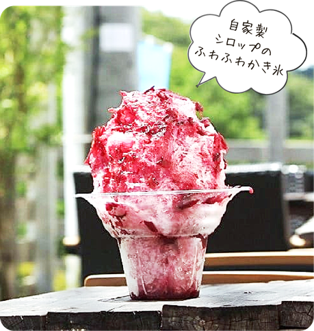 自家製シロップのふわふわかき氷