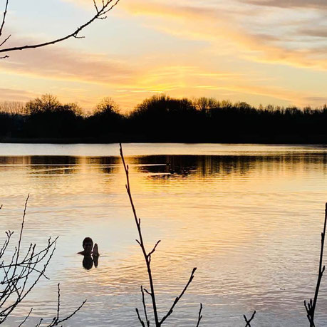 PowerVrouwen, activiteitenagenda 2021: Boost je vitaliteit in het natuurwater, organisator Wies van Beek