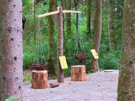 Die Wald-Waage im Zahlenwald