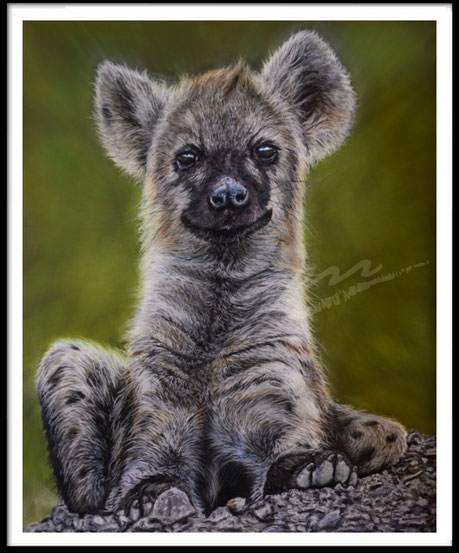 hyena, baby hyena, wildlife, pastelmat, pastel color, art, artwork, artist, animal, wildlifeart