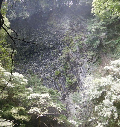 釜滝の柱状節理