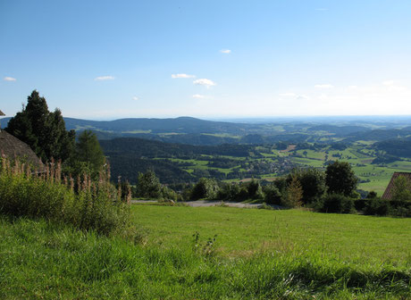 Blick von Obergrainet aus auf die vielfältige Natur und Landschaft im Landkreis Freyung-Grafenau (Foto: Lenz)