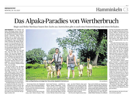 Rheinische Post – Das Alpaka-Paradies von Wertherbruch – Nienhaus Alpaka