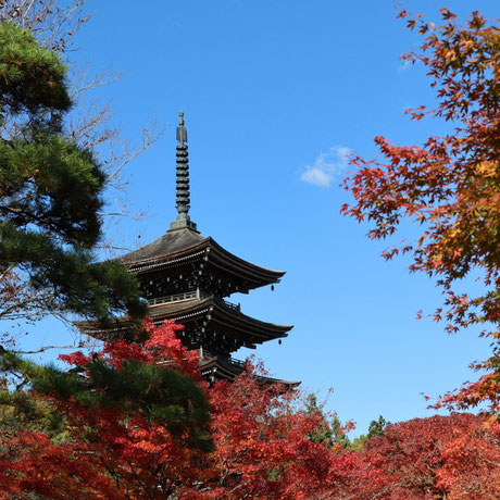 定義山