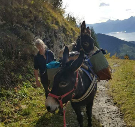 ferme un espace de vie