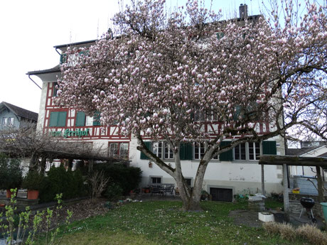 (Bild: buebikernews)