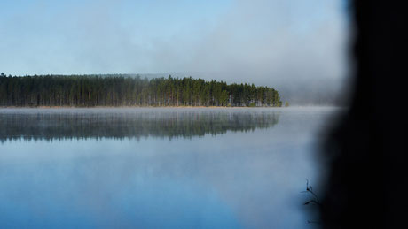 Staring over the lake while enjoying your oatmeal for breakfast