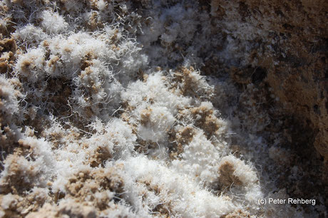 Salzkristalle, Badwater, Death Valley, Peter Rehberg