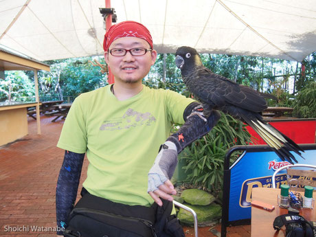 花鳥園よろしく、鳥さんとの写真は無料で簡単に撮れます。カワイイ。