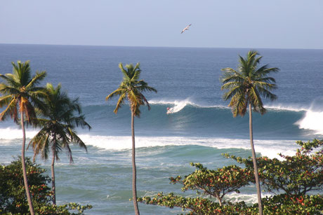 Rincon, Puerto Rico, tres palmas Beach