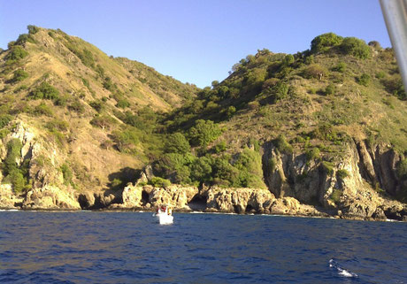 desecheo, island, puerto rico