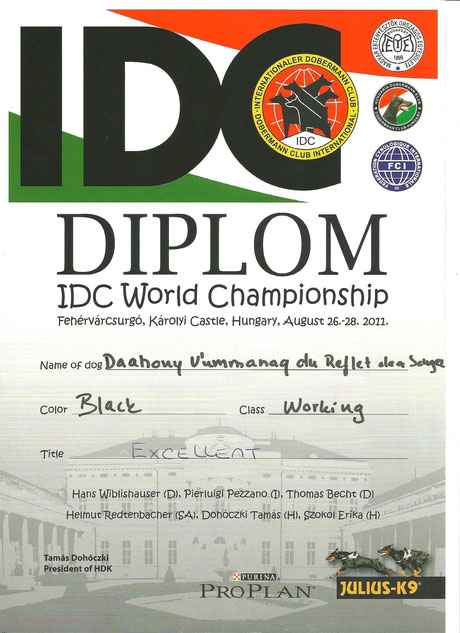 Titre Excellent - IDC HONGRIE - 2011