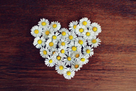 © Pixabay