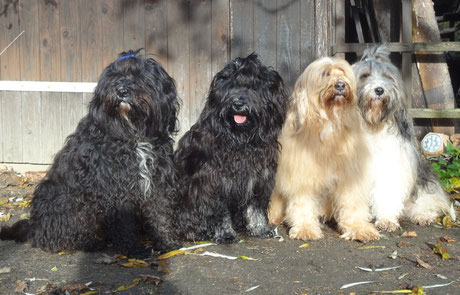 Kar-mi, Yeshi, Bya-ra und Milka