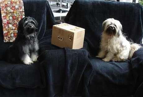 Bija und Ashna - Weihnachten 2012