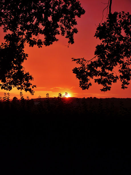Coucher de soleil / Sunset / Photo de Crystal Jones