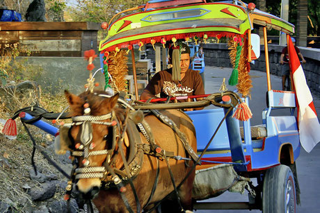 Cidomo ou calèche, transport commun sur Gili 