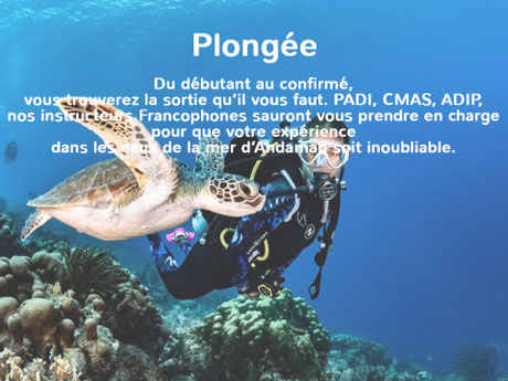 Spectacles Phuket - Guide francophone