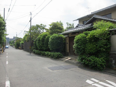 手前のおうちの建っているところが敷地。