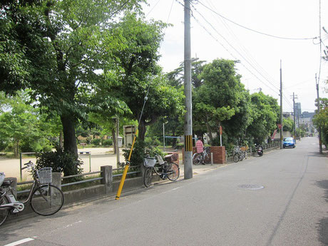 敷地ななめお迎えの公園。