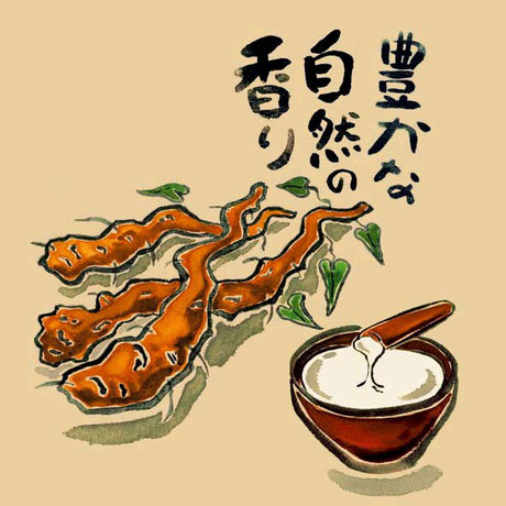 水彩イラスト　自然薯　飲食店