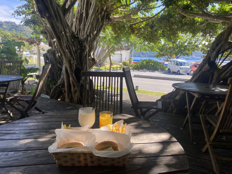 Shark burgers and island banana shakes at a cozy local cafe(©Wellness Tour Japan)