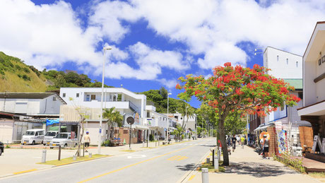 Main street of Chichijima island.