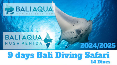 Thumbnail Scuba Diving Safari around Bali & Nusa Penida in 9 days and 14 dives