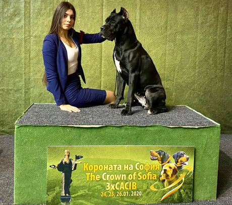 автобусный тур "DOG SHOW BUS" 24-26.01.2020 Болгария, г.София  3хCACIB-FCI    