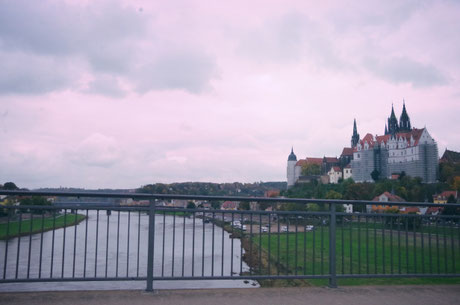 Blick auf das Schloss Meißen