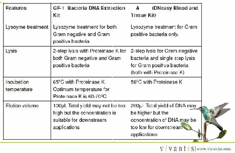 bacterial DNA extraction kit