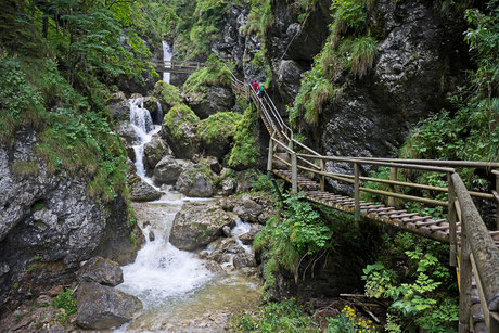 Randonnées guidées, montagne, Autriche, Ötscher