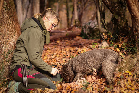 POCHON CUEILLETTE TRUFFES CAVAGE