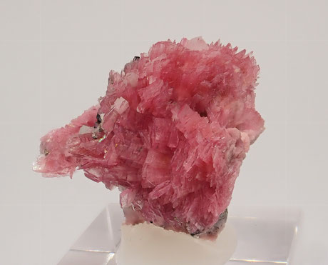 Rhodonite