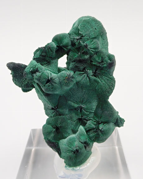 Botroidal Malachite