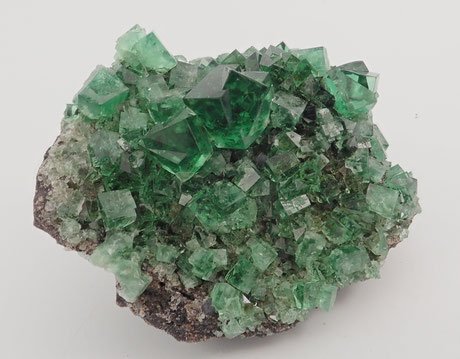 Rogerley Fluorite