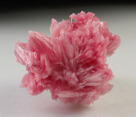 Rhodonite