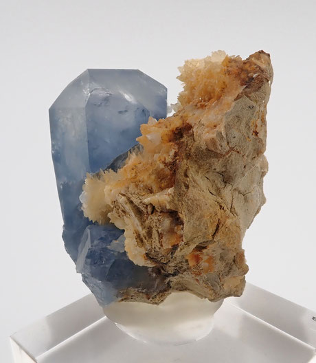 celestine afghanistan