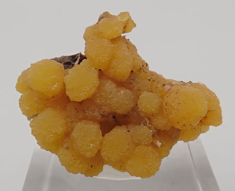 Mexico mimetite