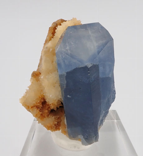 celestine afghanistan