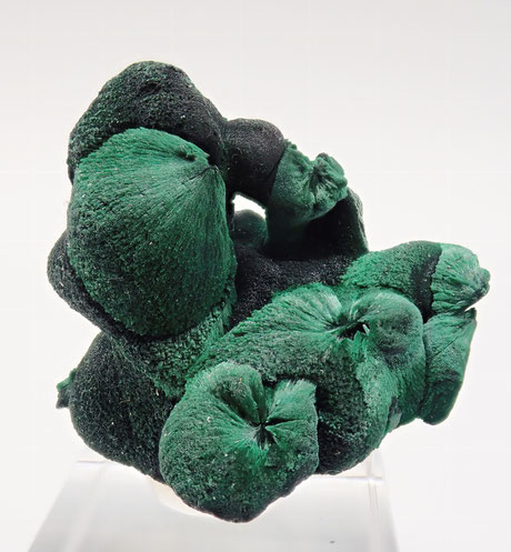 Botroidal Malachite