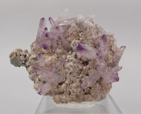 Veracruz Amethyste