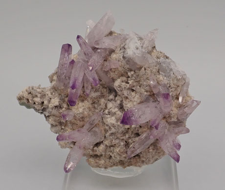 Veracruz Amethyste