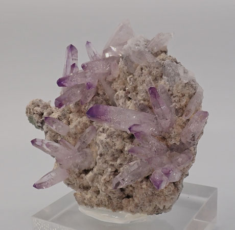 Veracruz Amethyste