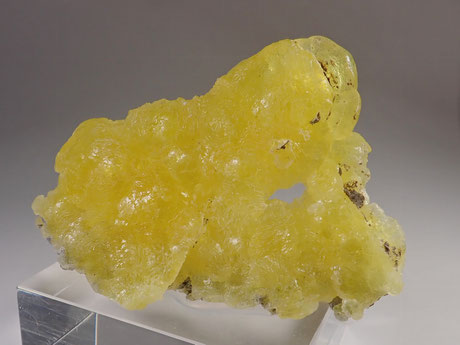 Yellow Brucite