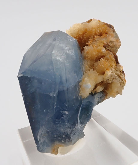 celestine afghanistan
