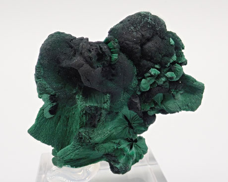 Botroidal Malachite