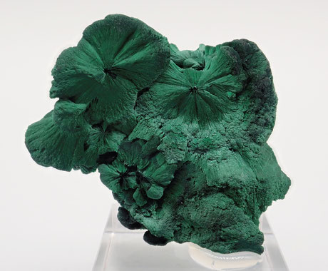 Botroidal Malachite