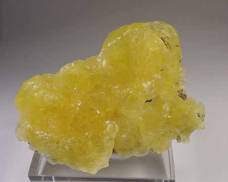 Yellow Brucite