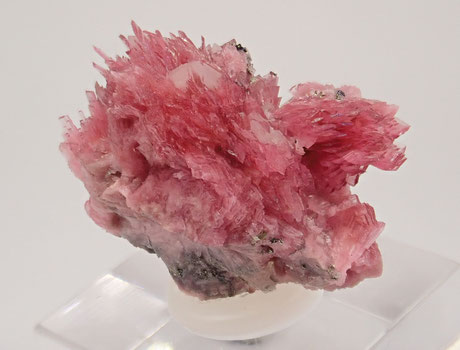 Rhodonite